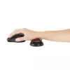 Podkładka pod nadgarstek Kensington Slim Duo Gel do myszy/trackballa – czerwony