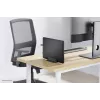 Neomounts NSLS300Czarny Uchwyt na laptopa 11-17 cali - uniwersalny, Stojak na laptopa, Czarny, Aluminium, 27.9 cm (11 cali), 43.2 cm (17 cali), 5 kg