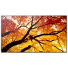 Sharp MultiSync M552 Cyfrowy panel informacyjny 139,7 cm (55 inch) LCD 550 cd/m² 4K Ultra HD Czarny Ekran dotykowy