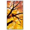 Sharp MultiSync M552 Cyfrowy panel informacyjny 139,7 cm (55 inch) LCD 550 cd/m² 4K Ultra HD Czarny Ekran dotykowy