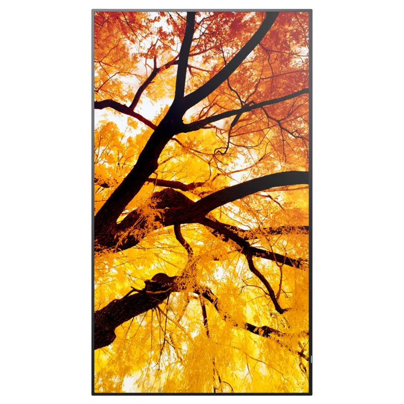 Sharp MultiSync M552 Cyfrowy panel informacyjny 139,7 cm (55 inch) LCD 550 cd/m² 4K Ultra HD Czarny Ekran dotykowy