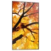Sharp MultiSync M552 Cyfrowy panel informacyjny 139,7 cm (55 inch) LCD 550 cd/m² 4K Ultra HD Czarny Ekran dotykowy