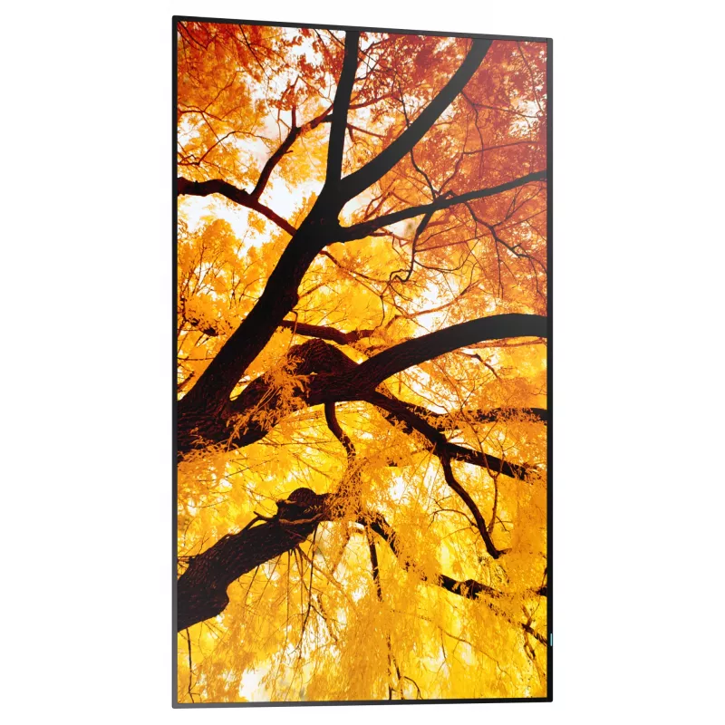 Sharp MultiSync M552 Cyfrowy panel informacyjny 139,7 cm (55 inch) LCD 550 cd/m² 4K Ultra HD Czarny Ekran dotykowy