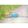 Lalkowe zwierzątko ZAPF BABY born My Dog Lucky z pudełkiem — tekstylia/plastik, wielokolorowe, dla dzieci 3–12 lat, wymaga 4×AAA