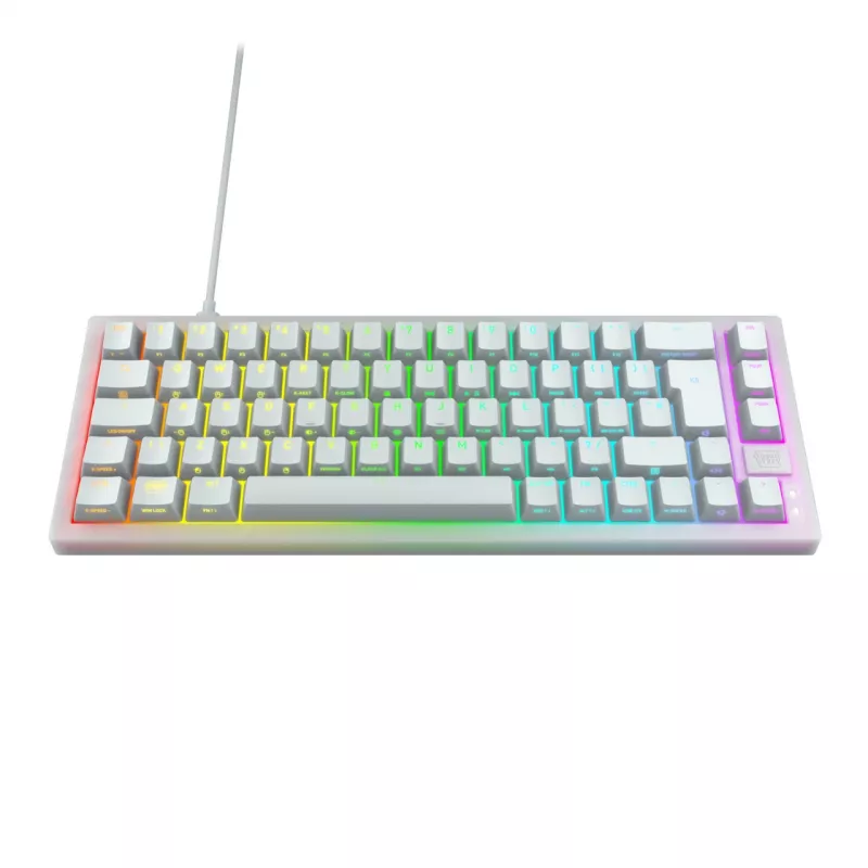 CHERRY K5V2 Kompaktowa klawiatura Gaming USB QWERTZ German Biały 68 klawiszy RGB LED