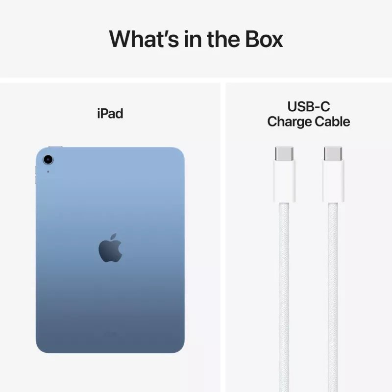 APPLE iPad (2025) - 11 cali - Wi-Fi - 256 GB - Niebieski