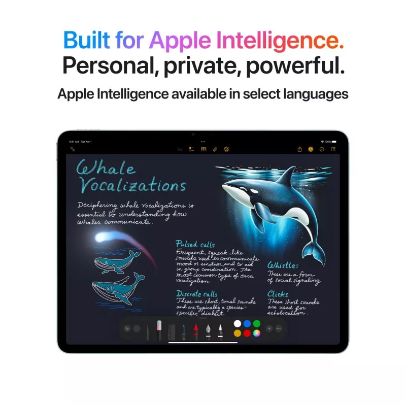 APPLE iPad Air (2025) - M3 - 13 cali - 7. generacja - Wi-Fi + Cellular - 256GB - Gwiezdna Szarość