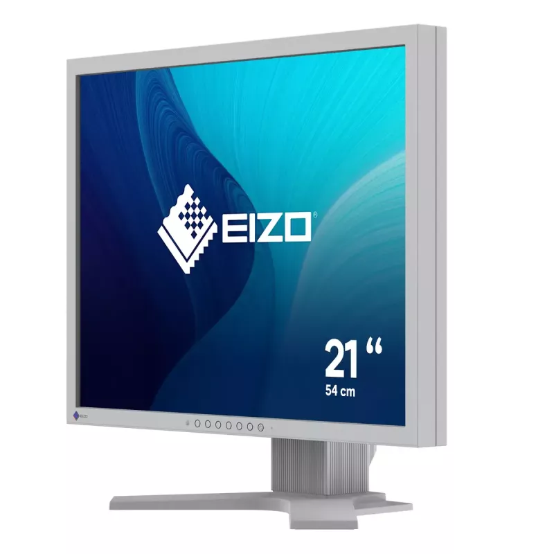 Monitor EIZO FlexScan S2134 21,3 cala LED 1600x1200
