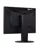 Monitor EIZO EV2460-BK 23,8 cala IPS LED Full HD 1920x1080, 250 cd/m², 5 ms, hub USB, głośniki, VESA