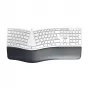 CHERRY KC 4500 ERGO klawiatura uniwersalna USB QWERTZ niemiecka biała