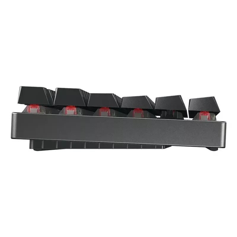 CHERRY MX 8.2 TKL Wireless RGB klawiatura gamingowa USB + RF Wireless + Bluetooth QWERTZ Czarny