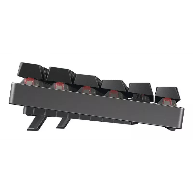 CHERRY MX 8.2 TKL Wireless RGB klawiatura gamingowa USB + RF Wireless + Bluetooth QWERTZ Czarny