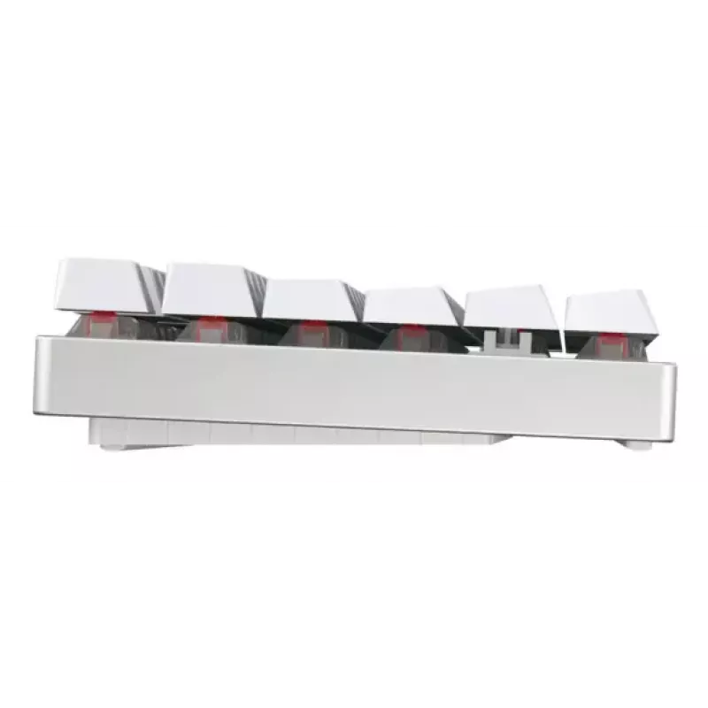 CHERRY MX 8.2 TKL Wireless RGB klawiatura gamingowa USB + RF Wireless + Bluetooth QWERTZ niemiecka biała