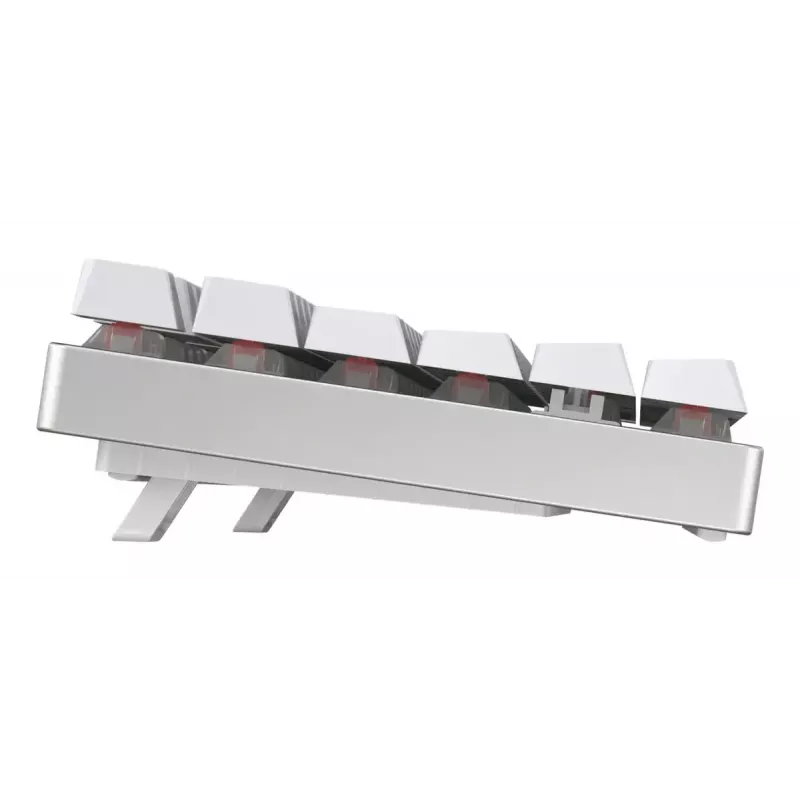 CHERRY MX 8.2 TKL Wireless RGB klawiatura gamingowa USB + RF Wireless + Bluetooth QWERTZ niemiecka biała