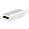 Adapter Equip USB Type C na DisplayPort, 4096 x 2160 pikseli