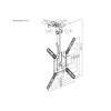 Uchwyt sufitowy do telewizora Equip 23-55 cali, 75 x 75 mm, 400 x 400 mm, 0 - 80°, -45 - 45°, stal nierdzewna, czarny