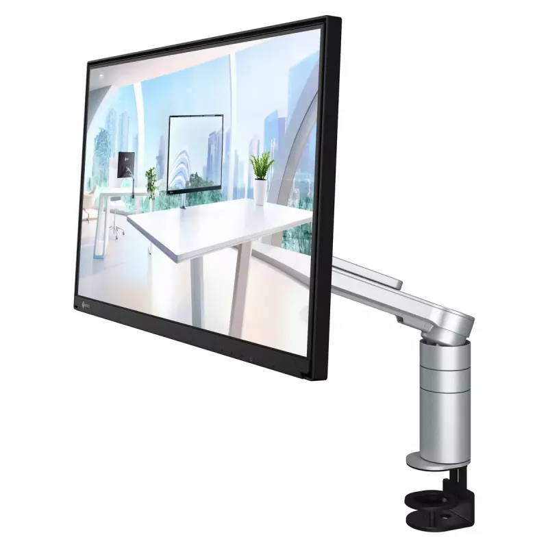 Monitor komputerowy EIZO FlexScan FLT 60,5 cm (23,8 cala) 1920 x 1080 pikseli Full HD LCD Czarny