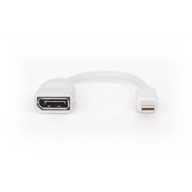 Przewód adaptera DisplayPort DIGITUS, mini DP - DP M/F, 0,15m, zgodny z DP 1.2, biały