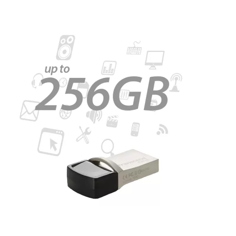 TRANSCEND Jetflash 890 - 256GB USB Stick - USB 3.1 / Typ C