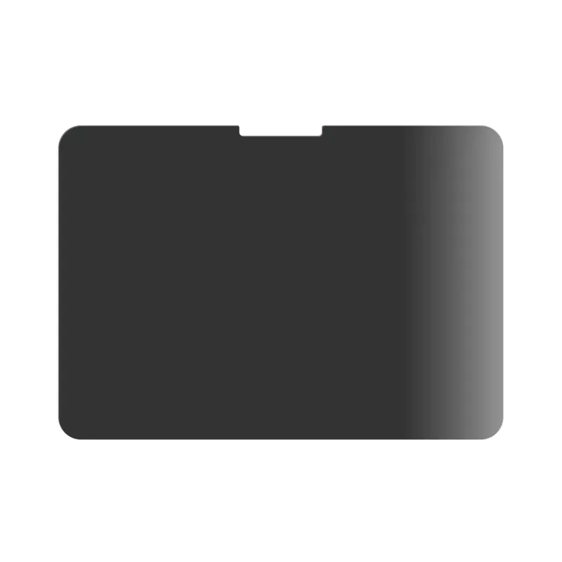 PanzerGlass ® Osłona ekranu prywatności ® iPad Pro 11'' (2024-2025) | Ultra-Wide Fit