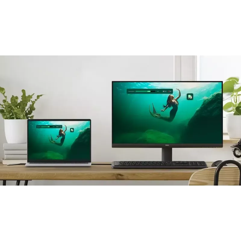Monitor komputerowy DELL SE2425HM 60,5 cm (23,8 cala) 1920 x 1080 pikseli Full HD LCD Czarny