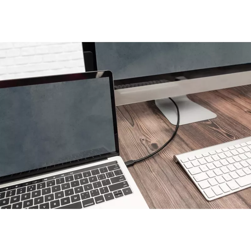 DIGITUS USB Type-C kabel połączeniowy, type C to C M/M, 1m Gen2 Czarny (AK-300139-010-S)