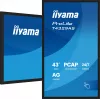 Monitor komputerowy iiyama T4329AS-B1AG 108 cm (42,5 cala) 3840 x 2160 pikseli 4K Ultra HD LED Dotykowy Czarny