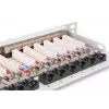 Panel krosowy DIGITUS CAT6A EA ekranowany, 24-portowy RJ45 z osłonami przeciwpyłowymi, 8P8C, 0,5U, szary RAL 7035