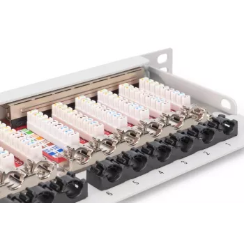 Panel krosowy DIGITUS CAT6A EA ekranowany, 24-portowy RJ45 z osłonami przeciwpyłowymi, 8P8C, 0,5U, szary RAL 7035