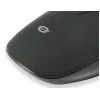 Conceptronic REGAS01B mysz biurowa symetryczna USB Type-A optyczna 1200 DPI