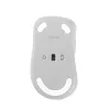 ASUS Wireless MD102 mysz Uniwersalna Praworęczna RF Wireless + Bluetooth Optyczna 1600 DPI