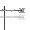 Neomounts FPMA-D550DCzarny ramię do monitora 10-32 cale, zacisk/przelotka, 8 kg, 25,4 cm (10 cali), 81,3 cm (32 cale), 100 x 100 mm, czarny