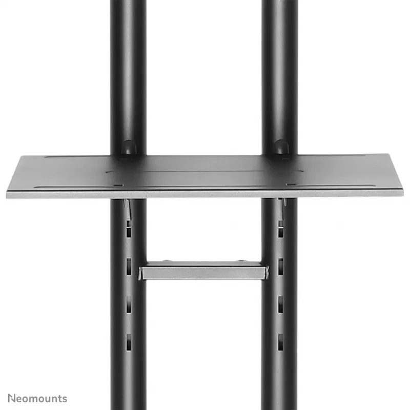 Wózek telewizyjny Neomounts PLASMA-M1700E 32-70 cali, czarny, przenośny stojak podłogowy, stal, 50 kg, 81,3 cm (32 cale), 177,8 cm (70 cali)