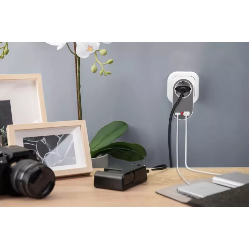 DIGITUS Zasilacz sieciowy z 2 portami USB, 250 V, 50 Hz, USB: 5 V, 2,1 A, biały / szary