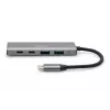 DIGITUS USB-C Hub 4-portowy 2x USB-A + 2x USB-C Gen2