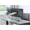 Uchwyt monitorowy Neomounts DS70S-950WH2 na monitory 17-35 cali – sprężynowy – Topfix – blokada 180°