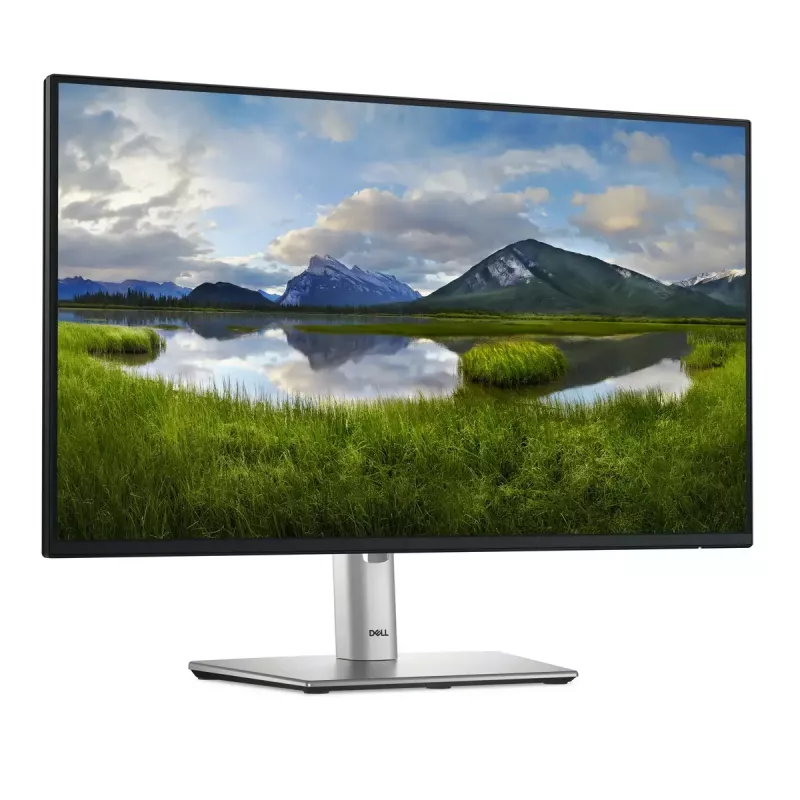 Monitor komputerowy DELL Pro Plus P2425HE 60,5 cm (23,8 cala) 1920 x 1080 pikseli Full HD LCD Czarny