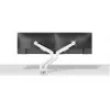 Neomounts DS70-250WH2 ramię do monitora 17-32 cale - sprężyna gazowa - Topfix - blokada 180°