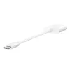 BELKIN Charge Adapter Rockstar 3.5mm Audio + USB-c biały