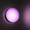 Zewnętrzne oświetlenie ścienne Philips Hue biały and colour ambience Daylo