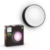 Zewnętrzne oświetlenie ścienne Philips Hue biały and colour ambience Daylo