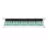 DIGITUS CAT 3 ISDN Patch Panel, nieekranowany 50-portów RJ45, 8P4C, LSA, 1U, montaż w szafie, kolor szary RAL 7035