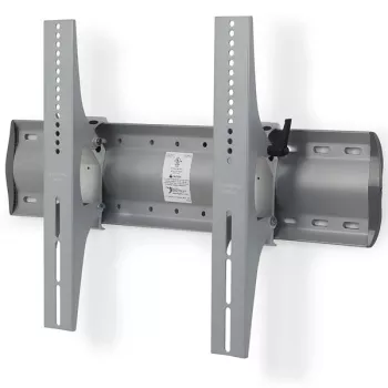 ERGOTRON Tm Uchylny uchwyt ścienny (srebrny) (61-142-003)