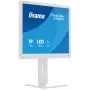Monitor komputerowy iiyama ProLite B1980S-W1 48,3 cm (19 cali) 1280 x 1024 pikseli SVGA LED Biały