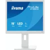 Monitor komputerowy iiyama ProLite B1980S-W1 48,3 cm (19 cali) 1280 x 1024 pikseli SVGA LED Biały