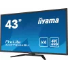 Monitor komputerowy iiyama ProLite X4373UHSU-B1 108 cm (42,5 cala) 3840 x 2160 pikseli 4K Ultra HD Czarny