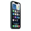 APPLE Silikonowe etui iPhone 16e Lake zielony