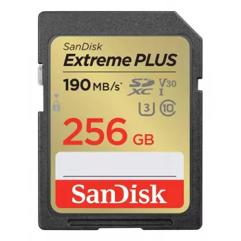 WESTERN DIGITAL Extreme PLUS 256 GB SDHC Memory Card 190 MB/s 130 MB/s UHS-I Class 10 U3 V30