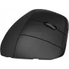 Mysz bezprzewodowa ergonomiczna HP 920, praworęczna, konstrukcja pionowa, Bluetooth + USB Type-A, 4000 DPI, czarna