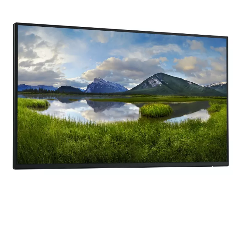 Monitor komputerowy DELL Pro Plus P2425H_WOST 61 cm (24 cale) 1920 x 1080 pikseli Full HD LCD Czarny